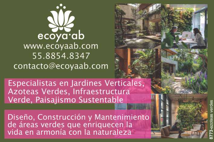 Especialistas en Jardines Verticales, Azoteas Verdes, Infraestructura Verde, Paisajismo Sustentable. Diseño, Construccion y Mantenimiento de Areas Verdes en armonia con la naturaleza.